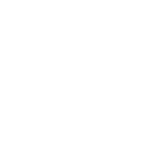 PLATAFORMA DE EMPLEABILIDAD DEL SECTOR