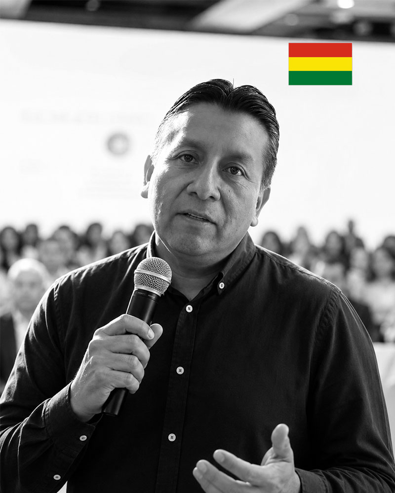 Ing. Raúl Alvarado